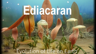 The Evolution of Life part 1  Ediacaran [upl. by Annahvas521]