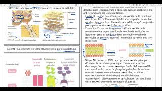 73La structure et lultrastructure de la membrane cytoplasmique [upl. by Hubey]