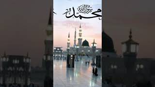 Naat Shareef madinasharifkividioislamicvideoyputubeshorts [upl. by Hardan]