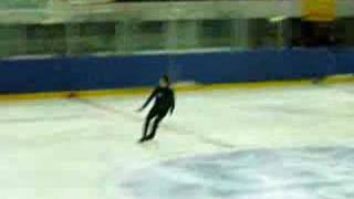 Stéphane Lambiel amp other swiss skaters [upl. by Llertnauq]