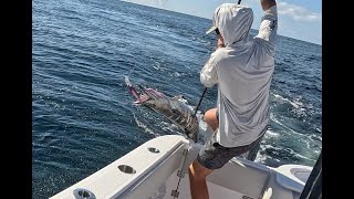 Destin fishing charter  8 hour wahoo  shark  vermillion snapper [upl. by Malissia]