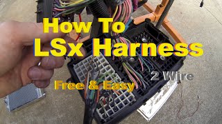 LSx Swap Harness How To Simple amp Free DIY Standalone on the Test Stand [upl. by Cathleen690]