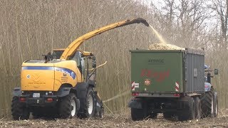 Bohnenernte mit 2 Ploeger BP 2100 und Dezeure durch LU Laarakker  tractortube [upl. by Nohsid]