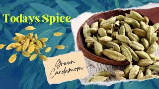 Ultimate guide to cardamomGrow cardamom for the leaves too elichi at home [upl. by Aserret827]