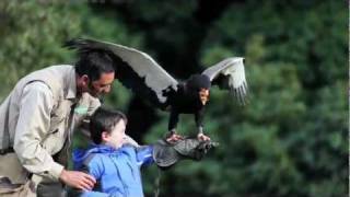 Imagefilm  Weltvogelpark Walsrode [upl. by Scoville]