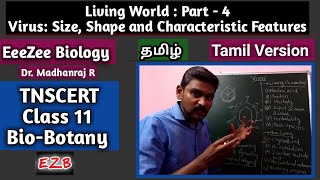 Virus  Size Shape and Characteristic Features  Living World Part4  BioBotany  TNSCERT Tamil [upl. by Niliac]