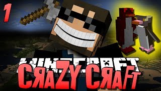 Minecraft CRAZY CRAFT 1  WTF IS THIS Minecraft Mod Survival [upl. by Woodford]