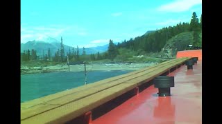 White Pass Train Ride saw some moose [upl. by Eira255]