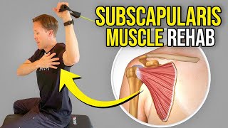 5 Exercises for the Subscapularis Muscle Rotator Cuff Rehab [upl. by Anilegnave]