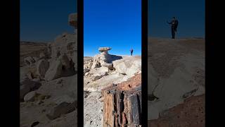 Petrified Forest National Park Arizona USA [upl. by Balmuth131]