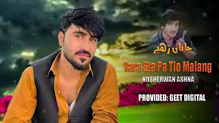 Nosherwan Mast Pashto Song  Pashto New Song 2024 [upl. by Asaert605]