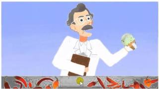 Wilbur Scoville Google doodle del 22012016 [upl. by Ynnaf]