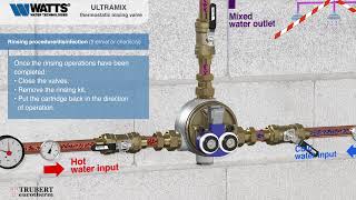 ULTRAMIX® Thermostatic Mixing Valves🔵Rinsing and Disinfection Procedure Thermal or Chemical [upl. by Eiahpets84]