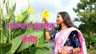 গোলাপ ফুলের কাঁটা  Golap Fular kata  Dance Cover  Manisha [upl. by Kolnos]