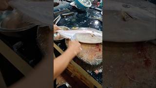 River leather jacket fishcutting freshwater shorts video [upl. by Ssecnirp]