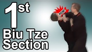 Wing Tsun 1st Biu Tze section  Part 1 [upl. by Temp]