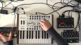 MiniBrute SE  Volca Beats  Minimal Bass 2  Drive2 [upl. by Roana]