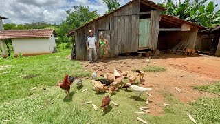 Ele escolheu Viver aqui no sítio e ainda Faz rapadura de vários sabores  jabuti Paraná… [upl. by Chemash]