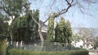 Property In Palam Vihar Gurgaon Flats In Palam Vihar Locality  MagicBricks  Youtube [upl. by Idaline374]