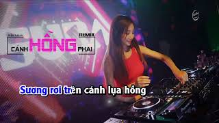 Cánh Hồng Phai RemixKARAOKE BEAT  Dj Jet ft Trấn Thành [upl. by Albertina]