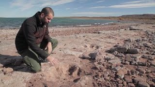 Reportage  Patagonie terre de dinosaures [upl. by Simdars]