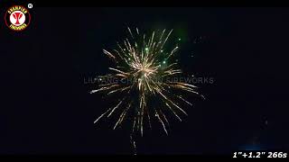 266 shot assorted cake fireworks [upl. by Anisirhc]