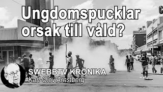 Krönika med KarlOlov Arnstberg  Ungdomspucklar och våld [upl. by Assennav43]