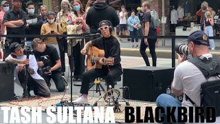 Tash Sultana  Blackbird Live Busking Set Melbourne [upl. by Can48]