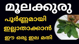 മൂലക്കുരു പൈൽസ്  പൂർണ്ണമായി മാറ്റാൻ ഉഗ്രൻ ഒറ്റമൂലി  Piles Treatment Malayalam  Moolakuru Maran [upl. by Erroll]