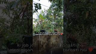 Ki jab jab ye barish barasti hai meri nigahen chai k liye tarasti hai ❤️chai barish [upl. by Hasheem948]