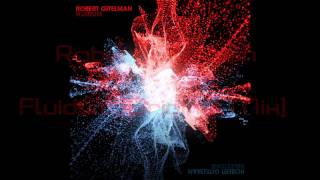 Robert Gitelman  Fluidum Original Mix HD [upl. by Sholom182]