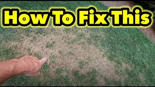 How To and How I Will Fix My Lawn This Fall [upl. by Marge]