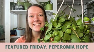 PEPEROMIA HOPE How I care for my peperomia hope [upl. by Dyrrej]