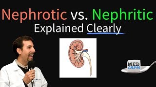 Nephrotic Syndrome vs Nephritic Syndrome Explained Nephritic vs Nephrotic [upl. by Fidelity]