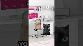 POV Cuando los gringos escuchan APT meme de gatos [upl. by Nohsed]