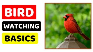 Bird Watching 101 Essential Tips for Beginners  Pet Adventure TV [upl. by Lytton813]