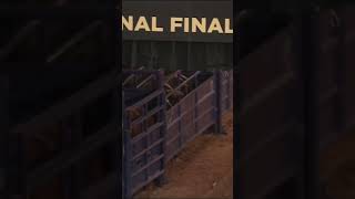 Emily Beisel 2021 NFR Round 2 [upl. by Ahsrop]