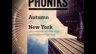 Mos Def  Travellin Man Phoniks Remix [upl. by Zul]