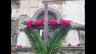 Pasqua 2024 a Forio La Benedizione delle Palme dal Torrione alla Basilica di S Maria di Loreto [upl. by Haisa]