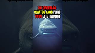 ¡El Tiburón que Puede Vivir Más de 400 Años 🦈 ¡Te Sorprenderá 😱 IncreíbleNaturaleza [upl. by Enitram]