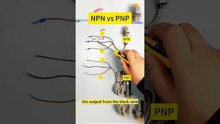 Proximity Sensor 101 NPN vs PNP shorts npn pnp electrician [upl. by Halehs]