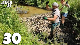 Beavers Dug A Tunnel To A Nearby Pond  Manual Beaver Dam Removal No30 [upl. by Jorry230]