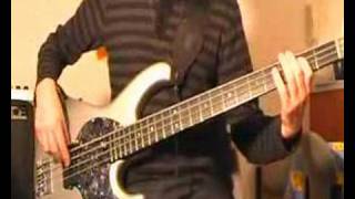 My lovely man  Red Hot Chili Peppers Bass Lesson [upl. by Llebasi]