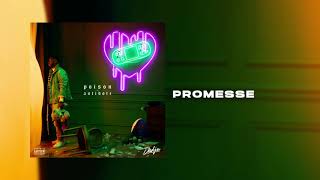 DADJU  Promesse Audio Officiel [upl. by Ynnam382]