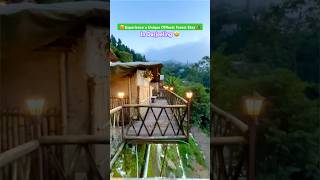 🏕️Best Offbeat Forest Stay in Darjeeling😍 darjeeling offbeatdarjeeling northbengal shorts [upl. by Retrac697]