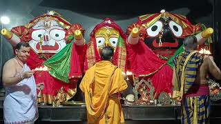 Shri Jagannath Mangal Arati Darshan 🙏  25Nov2024 [upl. by Cloris482]