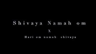 Shivaya Namah Om ft Hari Om Namah Shivaya  Yashil Thacoor  Dark Media Production [upl. by Etteloiv]