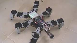 SAMSA II  Advanced Hexapod Robot [upl. by Annor870]