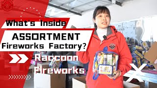 Ever Wondered Whats Inside a Fireworks Factory—— Raccoon Assortment Fireworks Factory [upl. by Sevart]