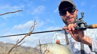 On the river with my New BFS fishing Combo The Dobyns Sierra Ultra Finesse and Curado BFS [upl. by Idnir]